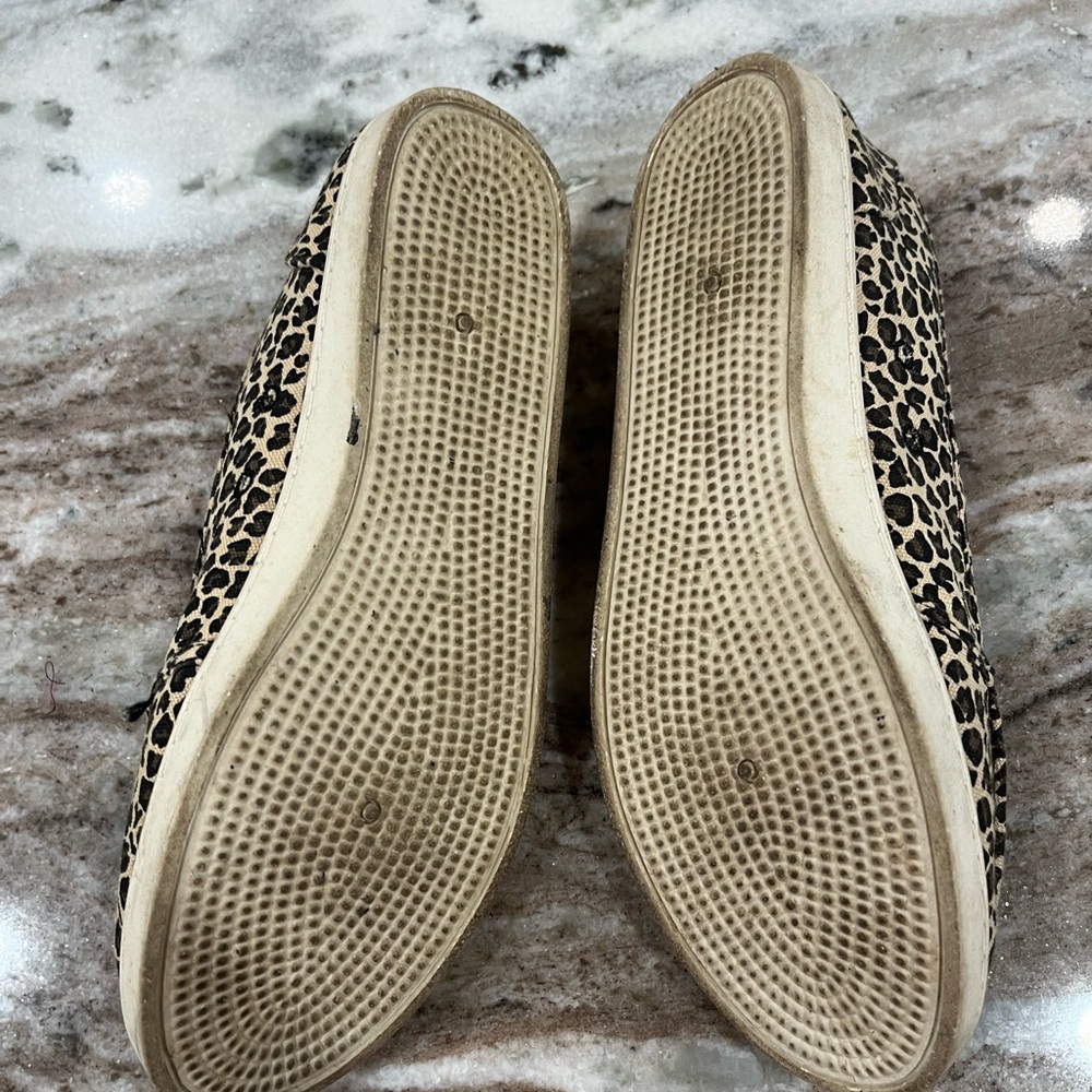 Leopard Print Slip‎ in Shoes